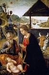 The Nativity of Christ, Late 15th or Early 16th Century-Bastiano Mainardi-Laminated Giclee Print