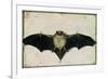 Bat, 1522-Albrecht Dürer-Framed Giclee Print