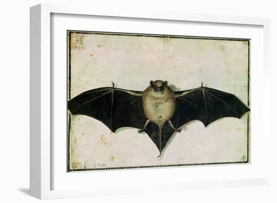Bat, 1522-Albrecht Dürer-Framed Giclee Print