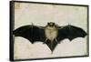 Bat, 1522-Albrecht Dürer-Framed Stretched Canvas