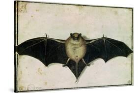 Bat, 1522-Albrecht Dürer-Stretched Canvas