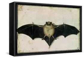 Bat, 1522-Albrecht Dürer-Framed Stretched Canvas