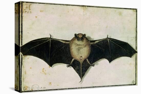 Bat, 1522-Albrecht Dürer-Stretched Canvas