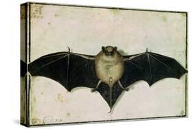 Bat, 1522-Albrecht Dürer-Stretched Canvas