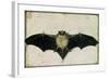 Bat, 1522-Albrecht Dürer-Framed Giclee Print