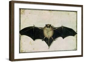 Bat, 1522-Albrecht Dürer-Framed Giclee Print