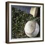 Bat and Ball-Sean Justice-Framed Photographic Print