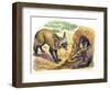 Bat-Eared Fox (Otocyon Megalotis) Trying to Get into Termite Mound Which Was Discovered by Aardvark-null-Framed Giclee Print