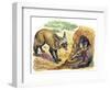 Bat-Eared Fox (Otocyon Megalotis) Trying to Get into Termite Mound Which Was Discovered by Aardvark-null-Framed Giclee Print