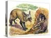 Bat-Eared Fox (Otocyon Megalotis) Trying to Get into Termite Mound Which Was Discovered by Aardvark-null-Stretched Canvas