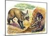 Bat-Eared Fox (Otocyon Megalotis) Trying to Get into Termite Mound Which Was Discovered by Aardvark-null-Mounted Giclee Print