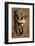 Bat-Eared Fox (Otocyon Megalotis) Walking, Namib-Naukluft National Park, Namib Desert, Namibia-Solvin Zankl-Framed Photographic Print