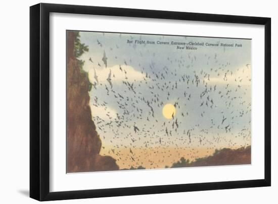 Bat Flight, Carlsbad Caverns, New Mexico-null-Framed Art Print