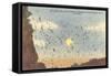 Bat Flight, Carlsbad Caverns, New Mexico-null-Framed Stretched Canvas