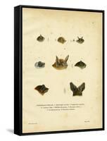 Bat Heads-null-Framed Stretched Canvas