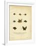 Bat Heads-null-Framed Giclee Print