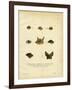 Bat Heads-null-Framed Giclee Print