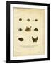 Bat Heads-null-Framed Giclee Print