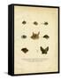 Bat Heads-null-Framed Stretched Canvas