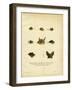 Bat Heads-null-Framed Giclee Print