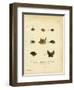 Bat Heads-null-Framed Giclee Print