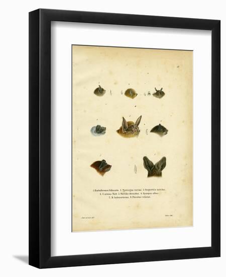 Bat Heads-null-Framed Giclee Print