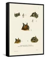 Bat Heads-null-Framed Stretched Canvas