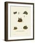 Bat Heads-null-Framed Giclee Print