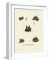 Bat Heads-null-Framed Giclee Print