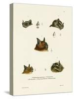 Bat Heads-null-Stretched Canvas