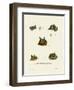 Bat Heads-null-Framed Giclee Print