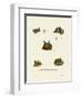 Bat Heads-null-Framed Giclee Print