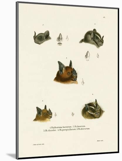 Bat Heads-null-Mounted Giclee Print