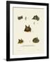 Bat Heads-null-Framed Giclee Print