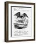 Bat-Lizards-null-Framed Giclee Print