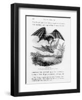 Bat-Lizards-null-Framed Giclee Print