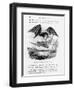 Bat-Lizards-null-Framed Giclee Print