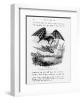 Bat-Lizards-null-Framed Giclee Print