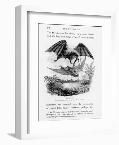 Bat-Lizards-null-Framed Giclee Print