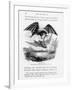 Bat-Lizards-null-Framed Giclee Print