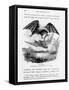 Bat-Lizards-null-Framed Stretched Canvas