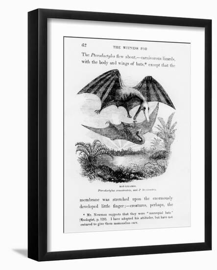 Bat-Lizards-null-Framed Giclee Print