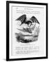 Bat-Lizards-null-Framed Giclee Print