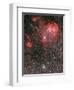 Bat Nebula (Ic 2948) and Open Star Cluster NGC 3766, the Pearl Cluster-null-Framed Photographic Print