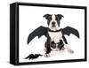 Bat Puppy Boston Terrier-cynoclub-Framed Stretched Canvas