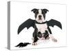 Bat Puppy Boston Terrier-cynoclub-Stretched Canvas