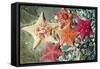 Bat Sea Star Group-null-Framed Stretched Canvas