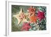 Bat Sea Star Group-null-Framed Photographic Print