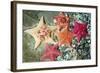 Bat Sea Star Group-null-Framed Photographic Print