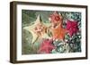 Bat Sea Star Group-null-Framed Photographic Print
